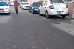 Sokakta fare paniği: Çevreyi kötü kokular sardı