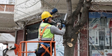 Küçükçekmece’de budanan ağaçlar, ihtiyaç sahiplerine yakacak oluyor