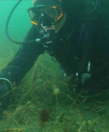 Belediye başkanı dalış yaptı, su altından müjdeyle çıktı