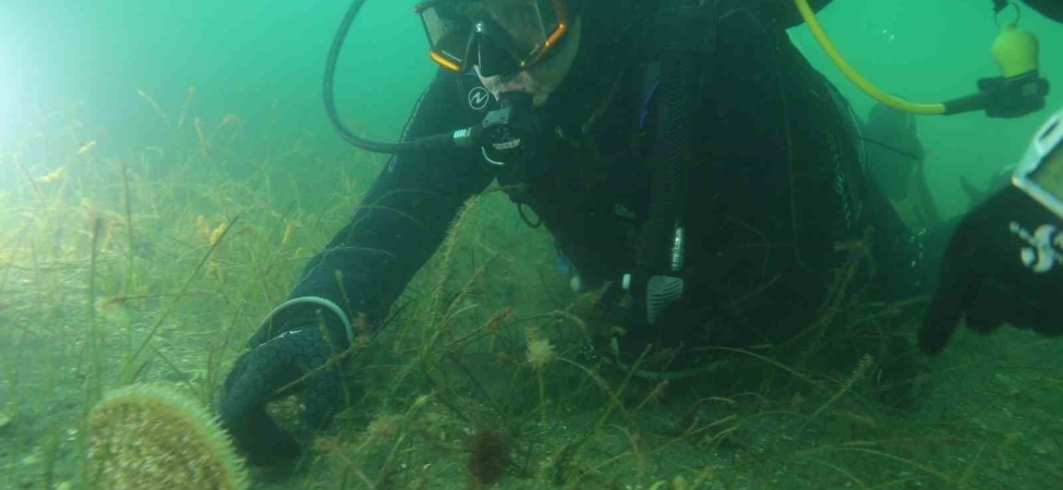 Belediye başkanı dalış yaptı, su altından müjdeyle çıktı