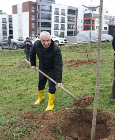Belediye Başkanından yeşil alan talebine hızlı cevap