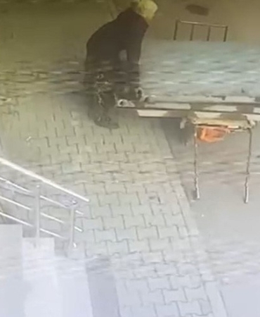 Güpegündüz hırsızlık: İki kadın dev panelleri çekçeke yükleyip götürdü