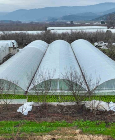 Lodostan zarar gören seralara Büyükşehir desteği