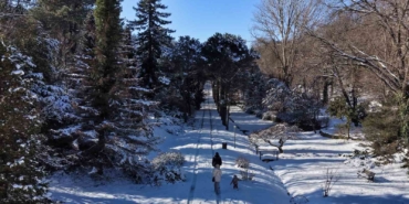 İstanbul’da kar göremeyenler Atatürk Arboretumu’na geldi