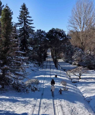 İstanbul’da kar göremeyenler Atatürk Arboretumu’na geldi