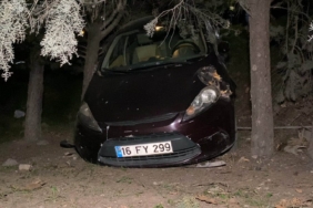 Kazadan sonra panik yaptı, alışveriş merkezinin bahçesine uçtu