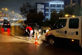 Belediye ekipleri yolda gördükleri kazaya müdahale etti