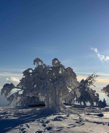 Sibirya değil Çataldağ