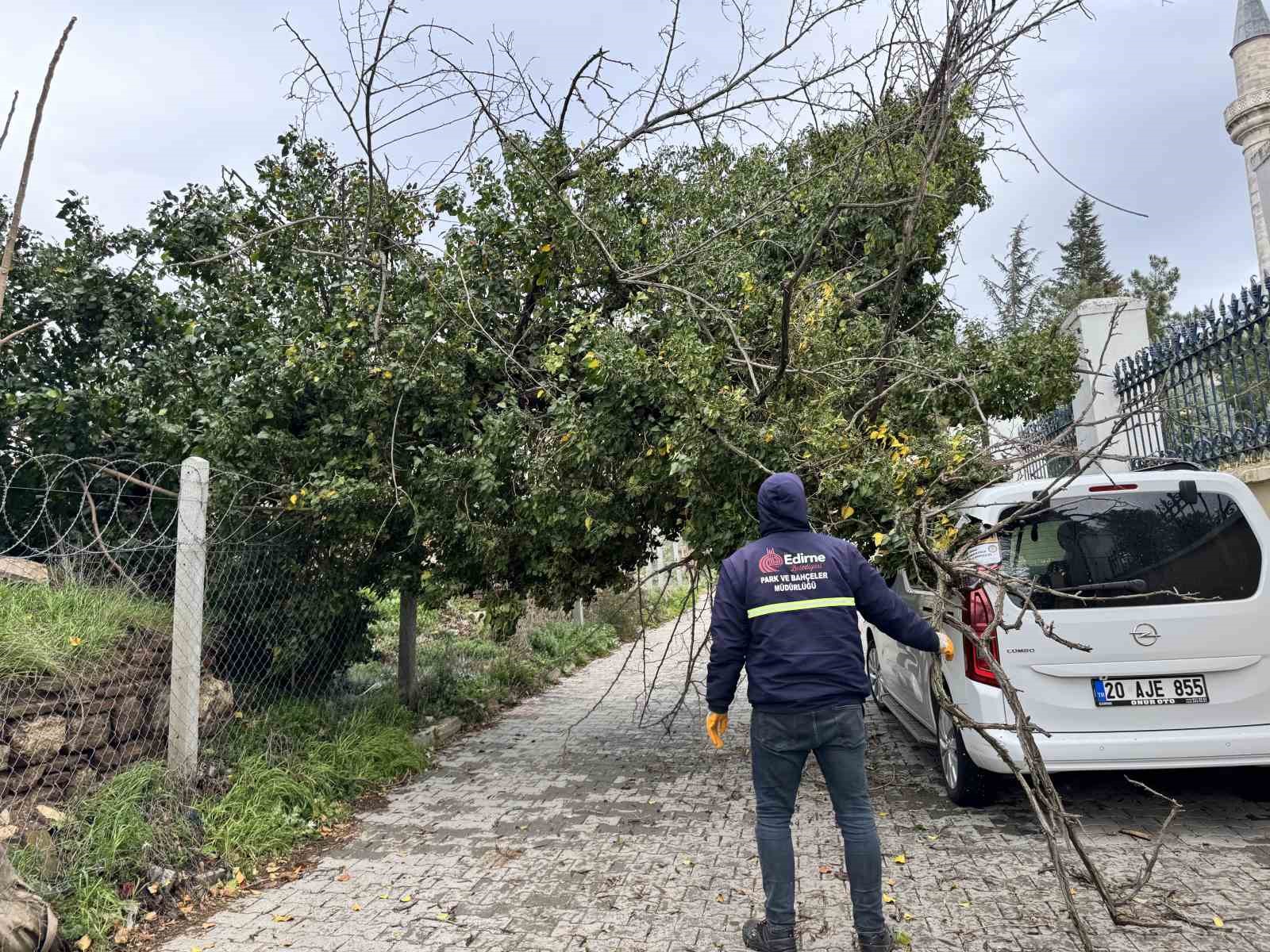 Edirne’de fırtına ağaçları devirdi