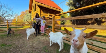 Keçi, ördek, tavuk, tavşan: Hepsinin görevi "Çok özel"