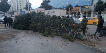 Bahçelievler’de şiddetli rüzgar nedeniyle ağaç devrildi: 1 kişi altında kaldı