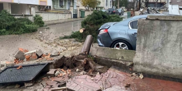 Kocaeli’de şiddetli rüzgar 12 metrelik ağacı devirdi: Yol trafiğe kapandı