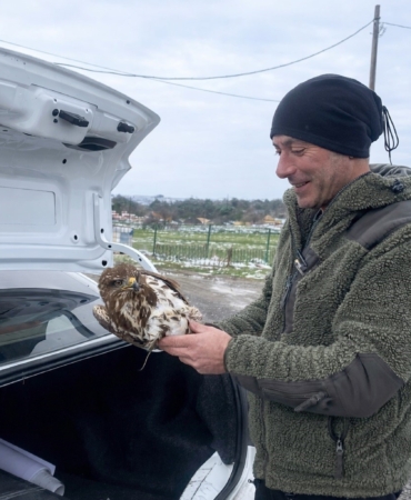 Yaralı şahin koruma altına alındı