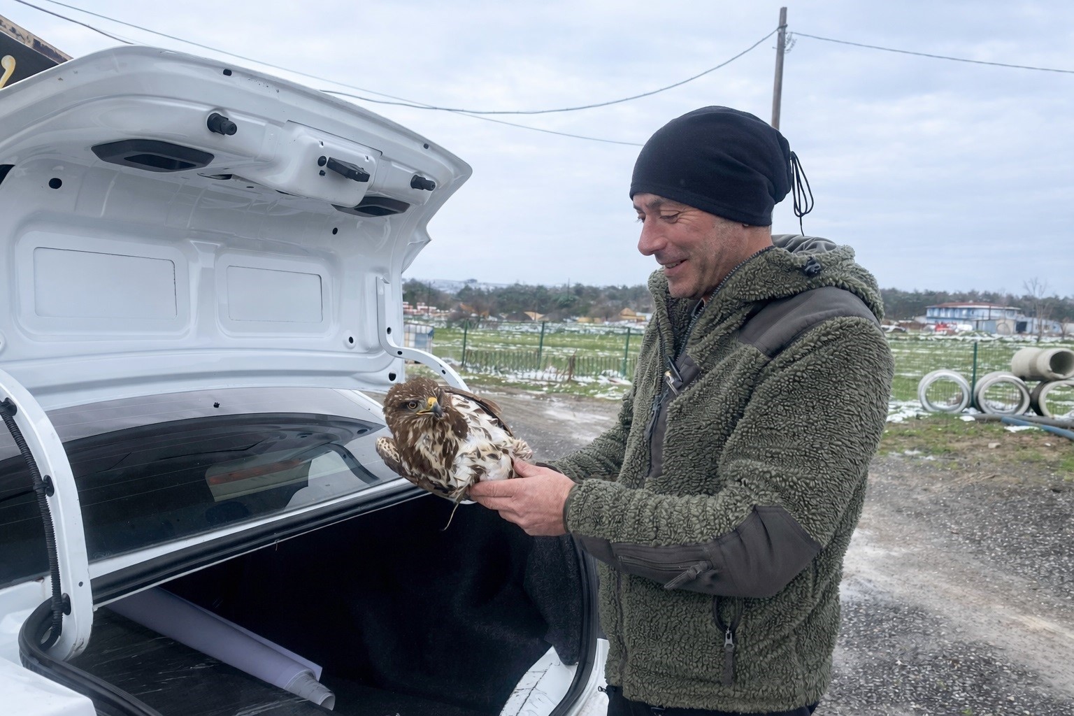 Yaralı şahin koruma altına alındı