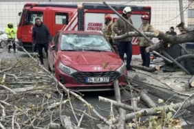 Şişli’de ağaç, park halindeki aracın üzerine devrildi