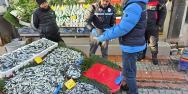 Balık tezgâhları yakın takipte