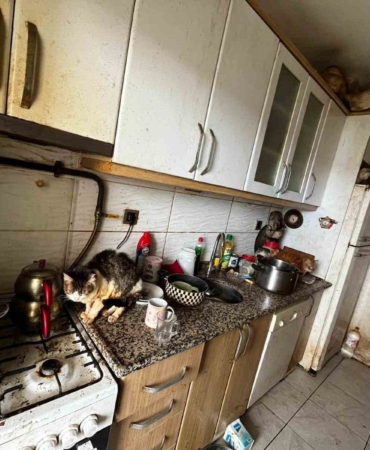 Kapı açılınca karşılaşılan manzara şoke etti