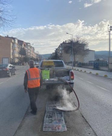Bilecik’te haşerelere karşı kışlık mücadele