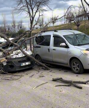 Bursa’da seyir halindeki araçların üzerine ağaç devrildi