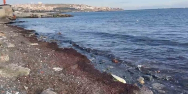 Tekirdağ’da lodosta sahili kırmızı yosunlar kapladı