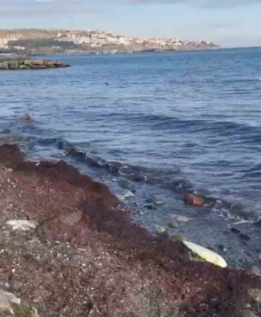 Tekirdağ’da lodosta sahili kırmızı yosunlar kapladı