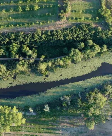 Doğanın kalbi Sakarya’da attı: İki yeşil noktaya 605 bin ziyaretçi