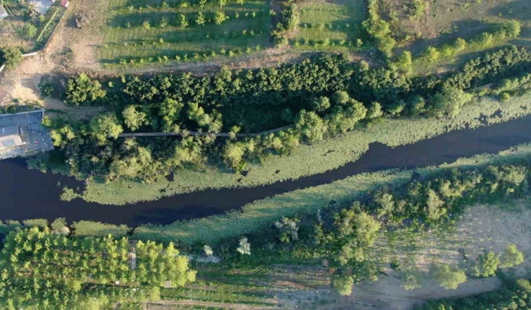 Doğanın kalbi Sakarya’da attı: İki yeşil noktaya 605 bin ziyaretçi