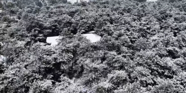 Başakşehir Şamlar Tabiat Parkı beyaza büründü