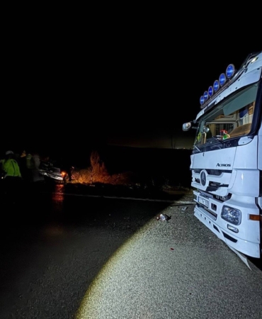 Köpekler nedeniyle otoyolda can pazarı