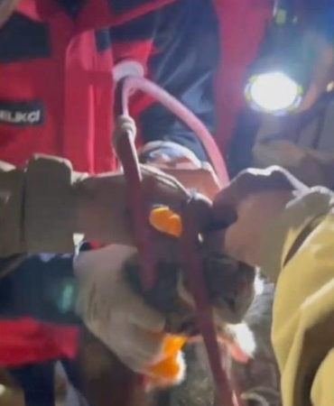 Su pompası deliğine düşen yavru kediyi itfaiye kurtardı