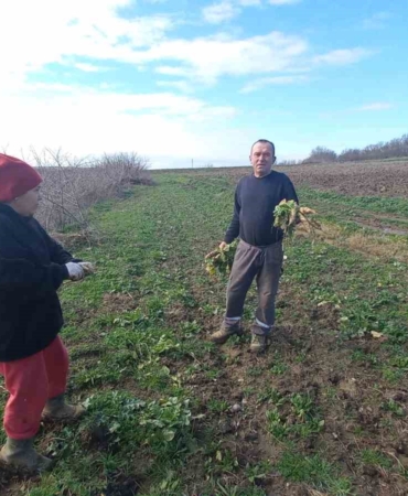 Toprağa emek, çocuklara gelecek: Karı-koca dört mevsim tarlada çalışıyor