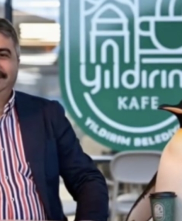 Penguen sürüden ayrılırken belediyeler boş durmadı