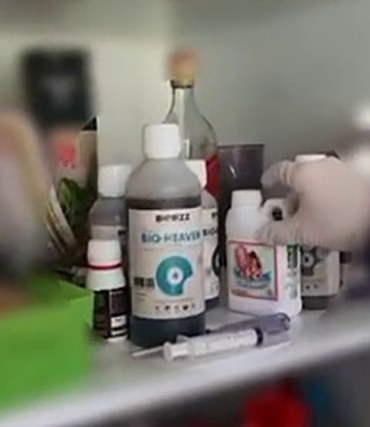 Evin bir odasını uyuşturucu serasına çeviren şüphelileri polis yakaladı