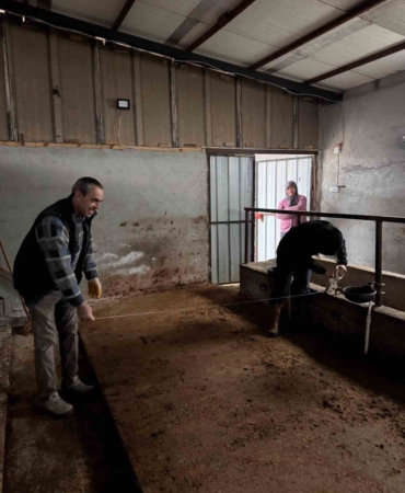 Bilecik’te büyükbaş hayvancılık işletmelerinde kapasite kontrolleri