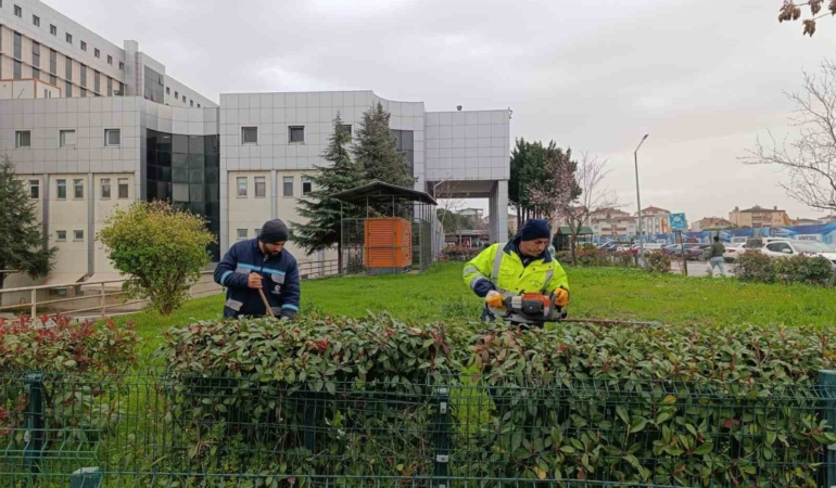 Hastane bahçelerinde budama ve bakım çalışması yapılıyor