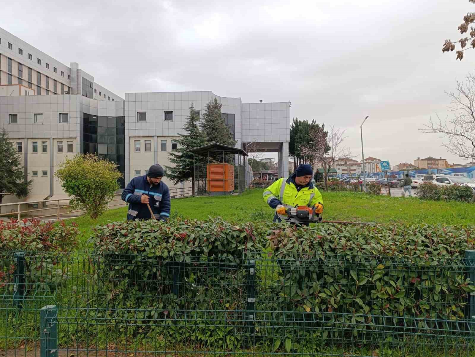 Hastane bahçelerinde budama ve bakım çalışması yapılıyor