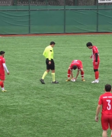 Maç esnasında top çarpan martıya kalp masajı yapıldı