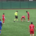 Maç esnasında top çarpan martı, kalp masajıyla hayata döndü