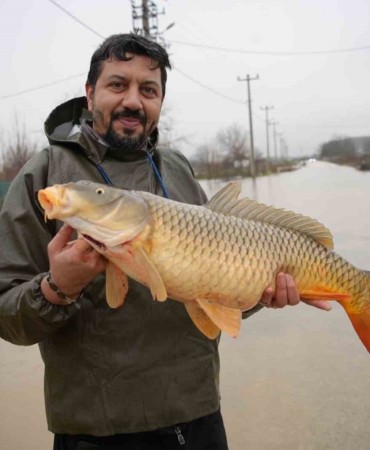 Meriç Nehri’nin taşmasıyla bazı vatandaşlar tarlasında canlı sazan balığı yakaladı