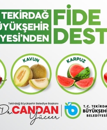 Üreticiye yüzde 70 hibeli fide desteği