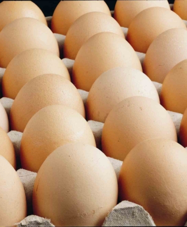 Kişi başına düşen yumurta üretimi 15 adet azaldı