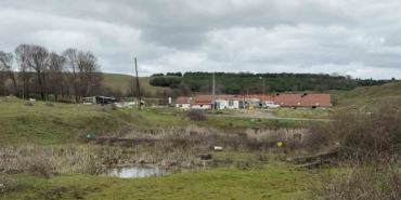 Arnavutköy’de elektrikli testereli saldırı: Çiftlik evinde dehşet