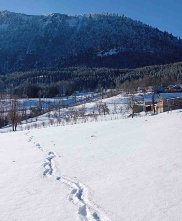 Sakarya’nın yüksek kesimleri yeniden karla buluştu