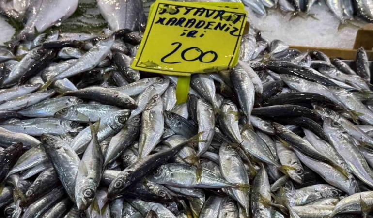 Kocaeli’de balık tezgahlarındaki son durum