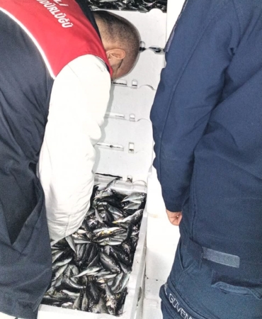 Kırklareli’nde su ürünleri denetiminde 110 koli istavrite cezai işlem