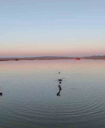 Uzunköprü’de kaçak avlanan 4 kişiye 762 bin TL ceza