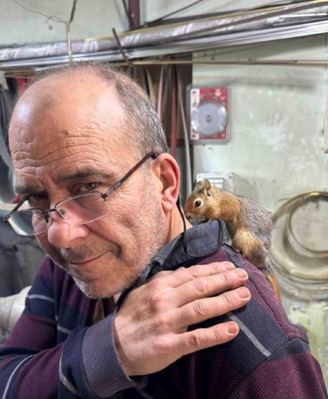 Ormanda bulduğu sincap en yakın dostu oldu