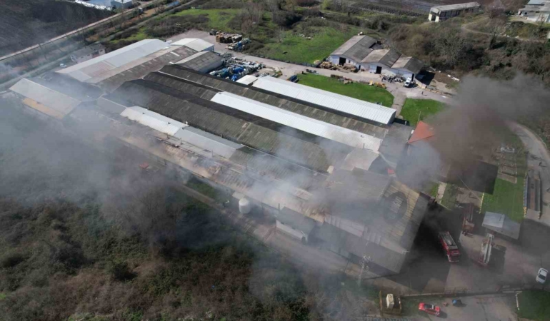 Şekerleme fabrikasında korkutan yangın: Ekipler seferber oldu