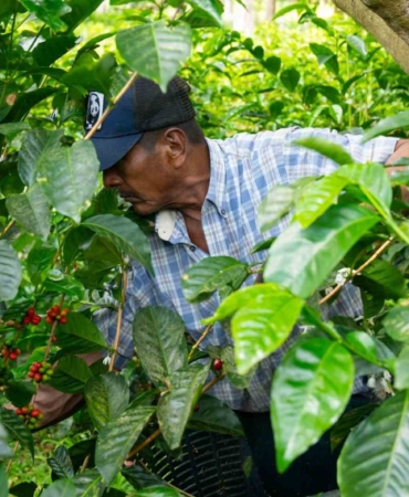 Espressolab’den kahve üretiminde şeffaf ve izlenebilir sistem