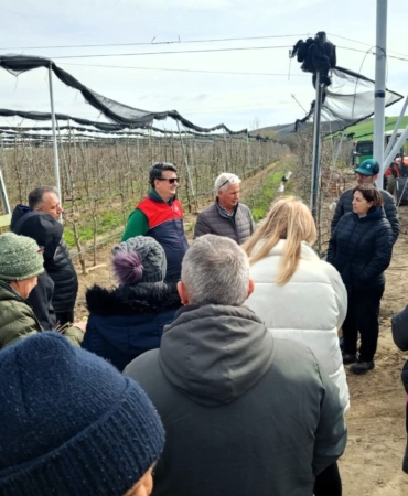 Lüleburgaz’da üreticilere uygulamalı budama eğitimi